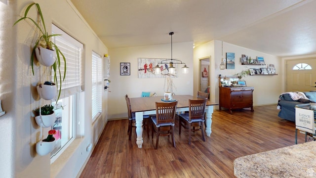 990 S Freedom Way, Big Water, UT 84741 - dining area with vaulted ceiling, dark hardwood / wood-style floors, and plenty of natural light