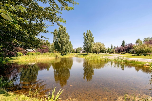 view of water feature