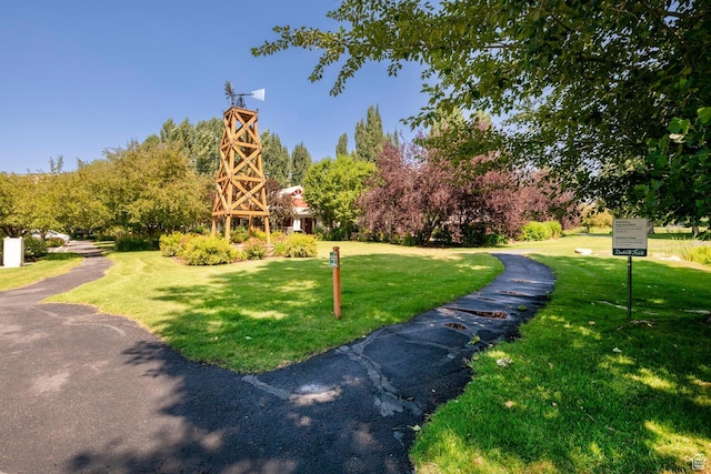 view of community featuring a yard