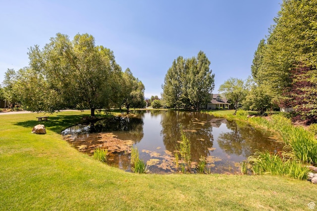 property view of water