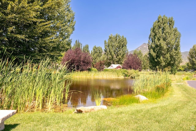 view of water feature featuring a mountain view