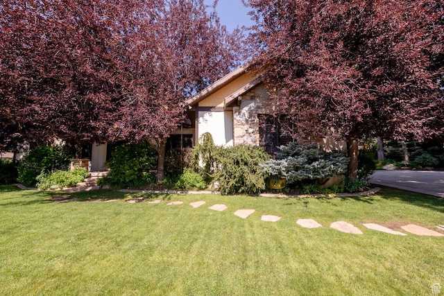 view of front of property with stone siding and a front lawn