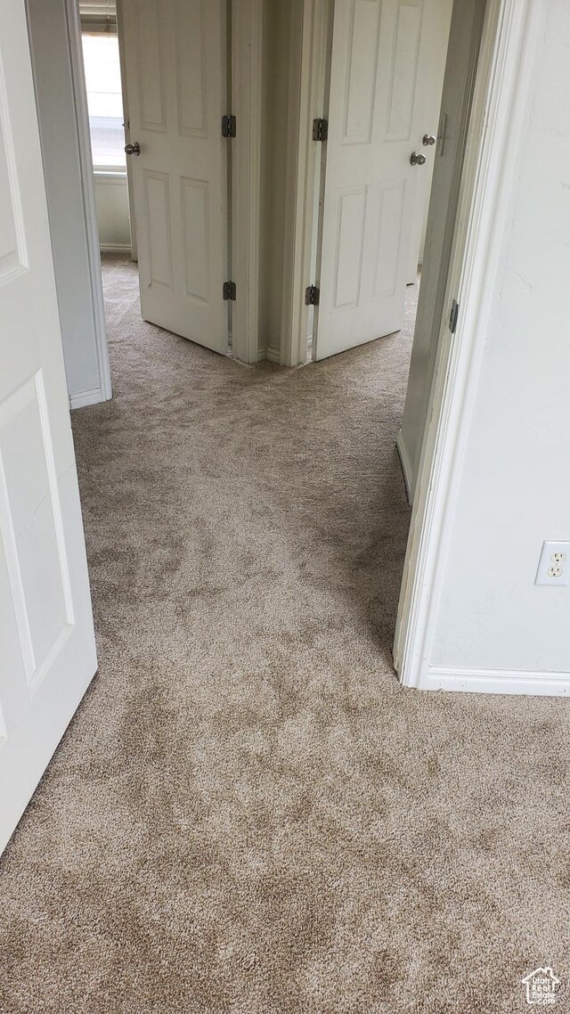 1596 W 300 S Unit 14, Vernal, UT 84078 - corridor with carpet flooring