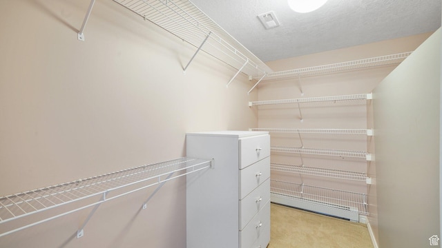 401 N Fairgrounds Rd, Price, UT 84501 - spacious closet with a baseboard radiator and light colored carpet