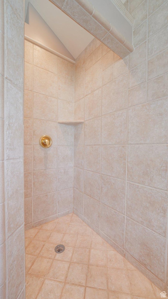 401 N Fairgrounds Rd, Price, UT 84501 - bathroom with lofted ceiling and tiled shower