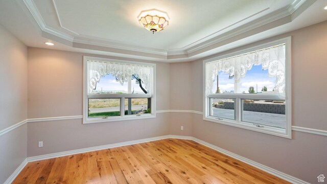 401 N Fairgrounds Rd, Price, UT 84501 - empty room featuring a raised ceiling, ornamental molding, and light hardwood / wood-style flooring