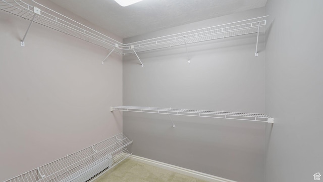 401 N Fairgrounds Rd, Price, UT 84501 - walk in closet featuring carpet flooring
