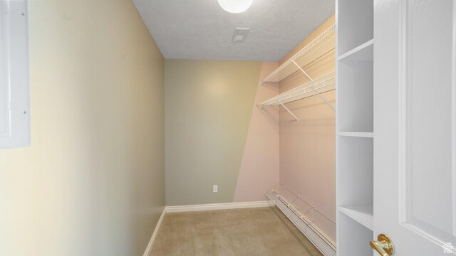 401 N Fairgrounds Rd, Price, UT 84501 - spacious closet with baseboard heating and light colored carpet