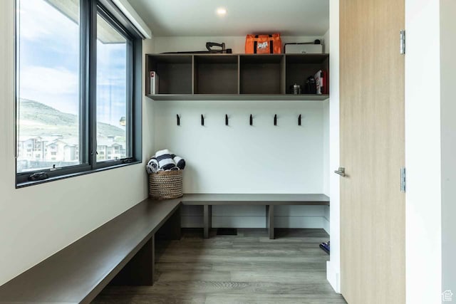 3599 Ridgeline Dr Unit 2, Park City, UT 84098 - mudroom with a healthy amount of sunlight, a mountain view, and light hardwood / wood-style floors
