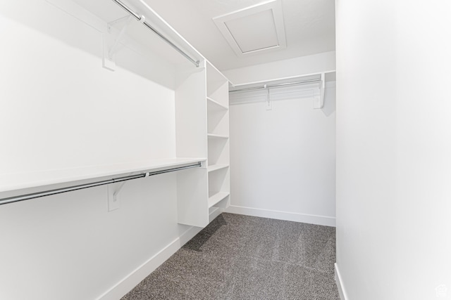 13719 S Devers Dr Unit 2106, Riverton, UT 84096 - walk in closet with carpet floors