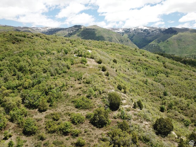22130 N 11750 E Unit 120, Fairview, UT 84629