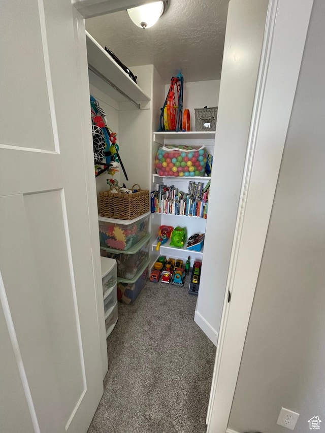 1999 E Abbey Way, Eagle Mountain, UT 84005 - view of pantry