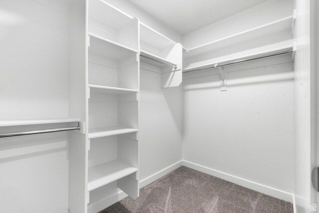 1791 N 180 E, Heber City, UT 84032 - walk in closet with carpet flooring