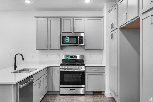 1791 N 180 E, Heber City, UT 84032 - kitchen with stainless steel appliances, a sink, gray cabinetry, a peninsula, and dark wood-style floors