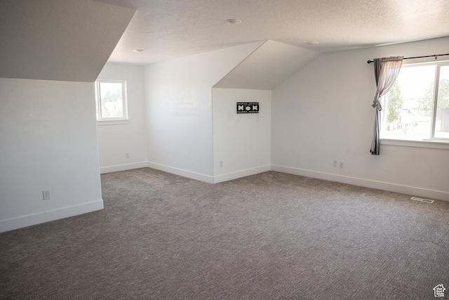 2159 W 520 S, Roosevelt, UT 84066 - bonus room with a textured ceiling, carpet, and lofted ceiling