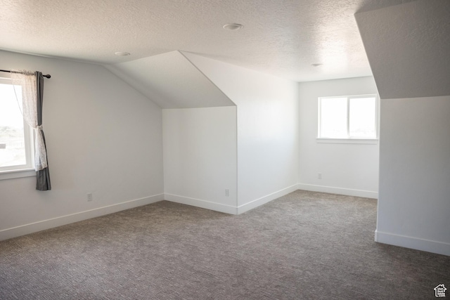 2159 W 520 S, Roosevelt, UT 84066 - additional living space featuring a textured ceiling, lofted ceiling, and carpet flooring