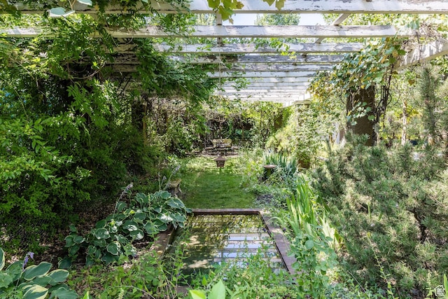 view of yard with a pergola