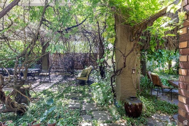 view of yard with a patio area
