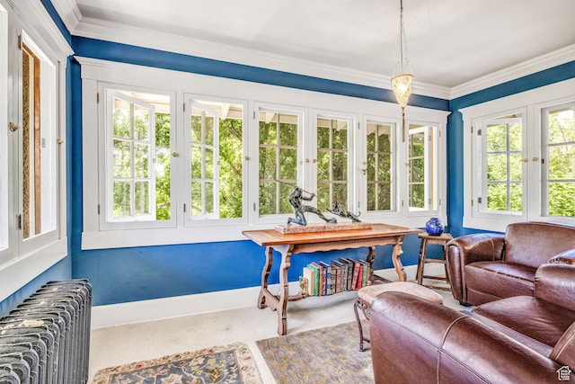 sunroom with radiator