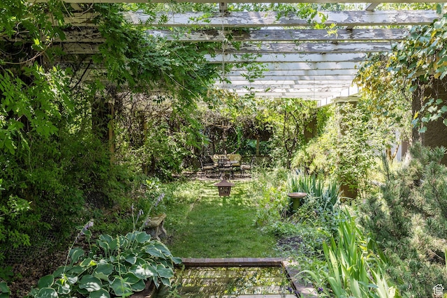 view of yard with a pergola
