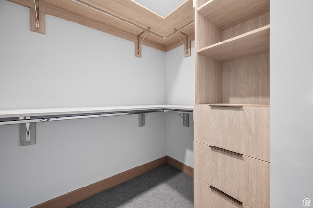 1271 Lowell Ave Unit B-103, Park City, UT 84060 - walk in closet with carpet