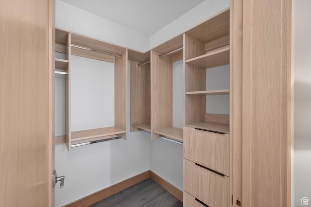 1271 Lowell Ave Unit B-103, Park City, UT 84060 - walk in closet with wood finished floors