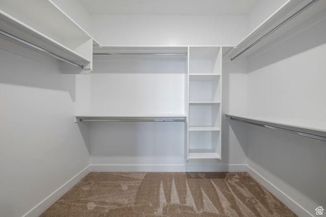1068 S 2760 E, Spanish Fork, UT 84660 - walk in closet with carpet flooring