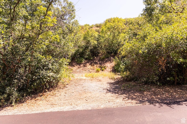 145 S Skycrest Ln Unit 1, Emigration Canyon, UT 84108