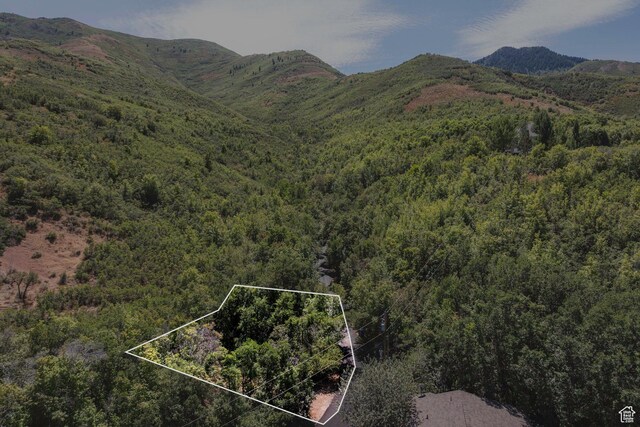 145 S Skycrest Ln Unit 1, Emigration Canyon, UT 84108