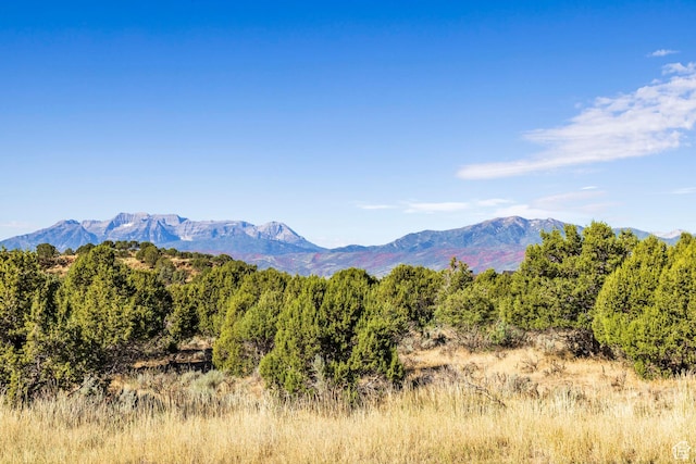 3166 E Horse Mountain Cir Unit 197, Heber City, UT 84032