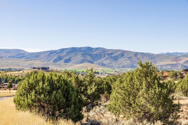 3166 E Horse Mountain Cir Unit 197, Heber City, UT 84032