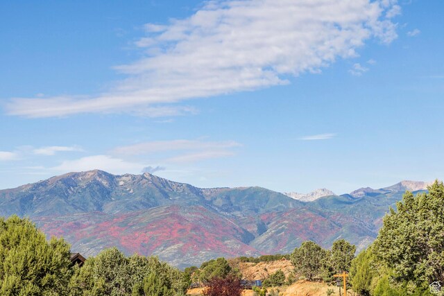 3166 E Horse Mountain Cir Unit 197, Heber City, UT 84032