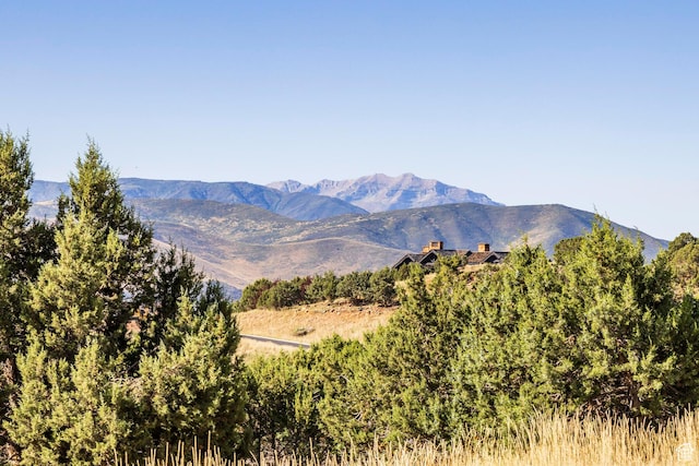 3166 E Horse Mountain Cir Unit 197, Heber City, UT 84032