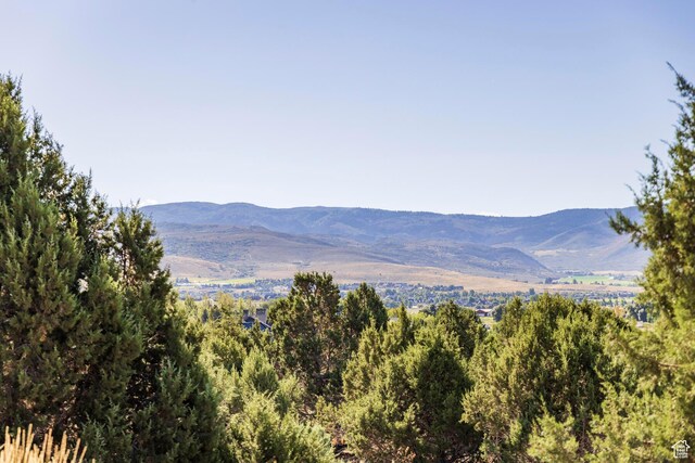 3166 E Horse Mountain Cir Unit 197, Heber City, UT 84032