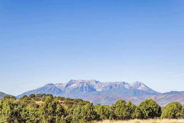 3166 E Horse Mountain Cir Unit 197, Heber City, UT 84032