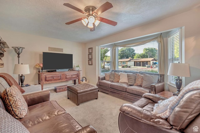 751 W 3500 N, Pleasant View, UT 84414 - living room with ceiling fan, light colored carpet, and a textured ceiling