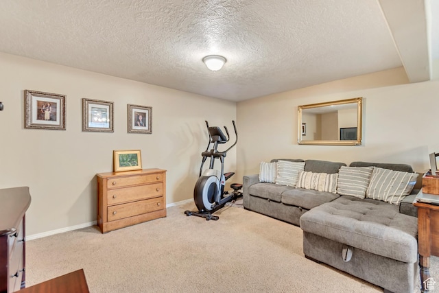 751 W 3500 N, Pleasant View, UT 84414 - workout room with carpet flooring and a textured ceiling