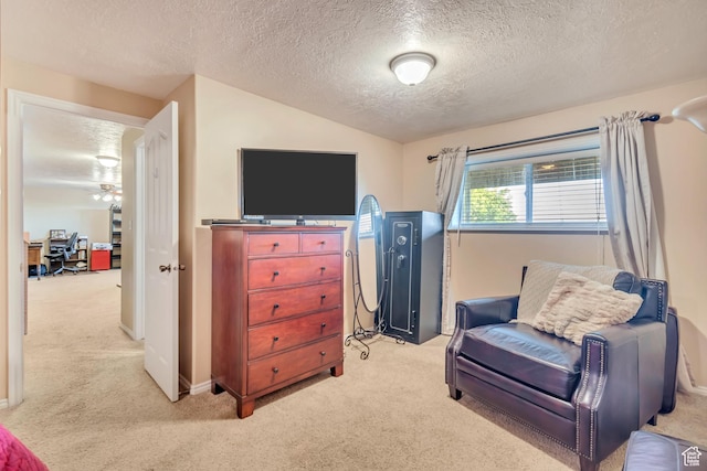 751 W 3500 N, Pleasant View, UT 84414 - sitting room with light carpet and a textured ceiling
