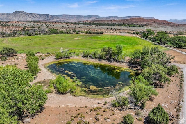 985 N Wonder Ln, Leeds, UT 84746 - photo 41