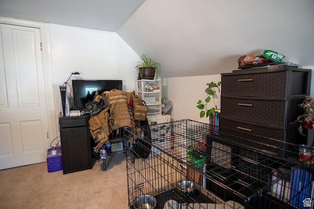 interior space featuring vaulted ceiling