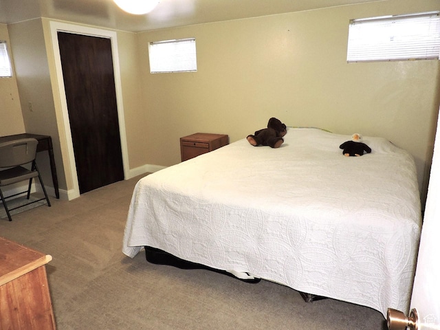 325 N 100 W, Delta, UT 84624 - bedroom with a closet and carpet