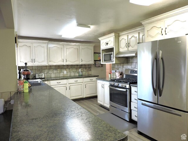 325 N 100 W, Delta, UT 84624 - kitchen featuring wood finished floors, dark countertops, appliances with stainless steel finishes, under cabinet range hood, and a sink
