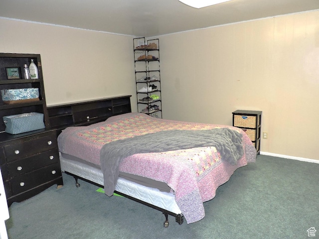 325 N 100 W, Delta, UT 84624 - bedroom with baseboards and carpet