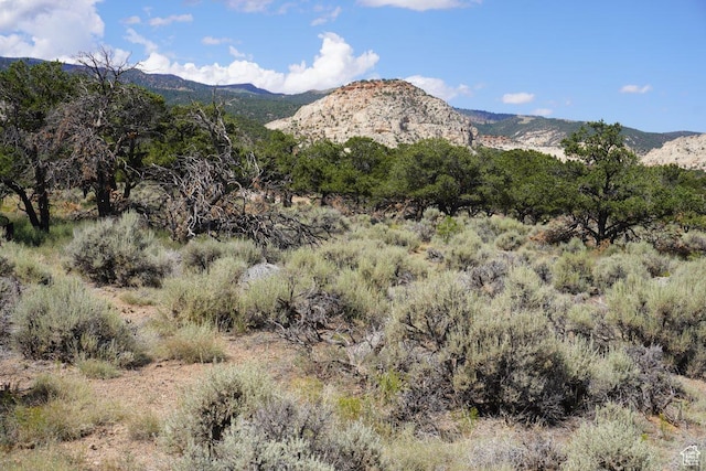 1205 S Donkey Flats Rd, Teasdale, UT 84773 - photo 5