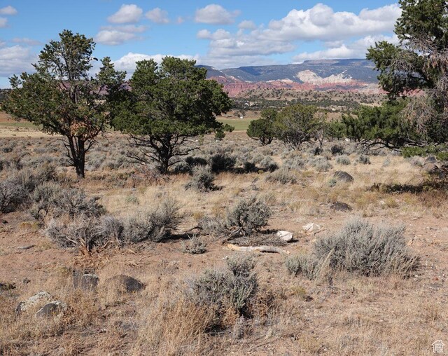 1205 S Donkey Flats Rd, Teasdale, UT 84773 - photo 3