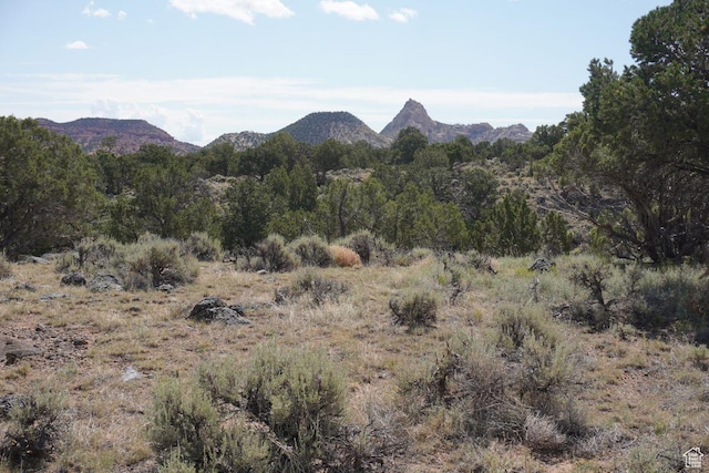 1205 S Donkey Flats Rd, Teasdale, UT 84773 - photo 8