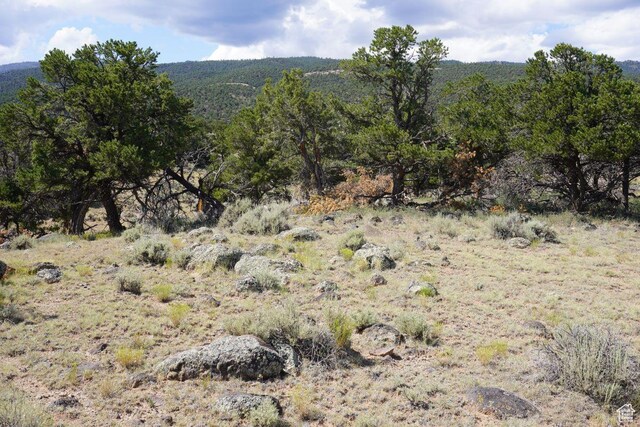 1205 S Donkey Flats Rd, Teasdale, UT 84773 - photo 9