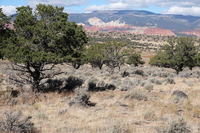 1205 S Donkey Flats Rd, Teasdale, UT 84773 - photo 12