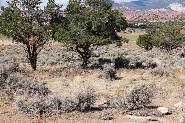 1205 S Donkey Flats Rd, Teasdale, UT 84773 - photo 7