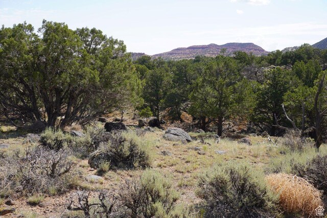 1205 S Donkey Flats Rd, Teasdale, UT 84773 - photo 10